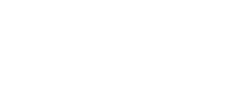 logo de Destino china en blanco
