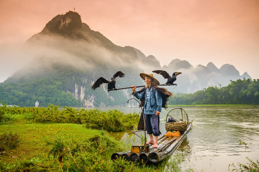 Pescador tradicional chino con sombrero de paja sosteniendo dos aves cormoranes sobre una balsa de bambú en el río Li